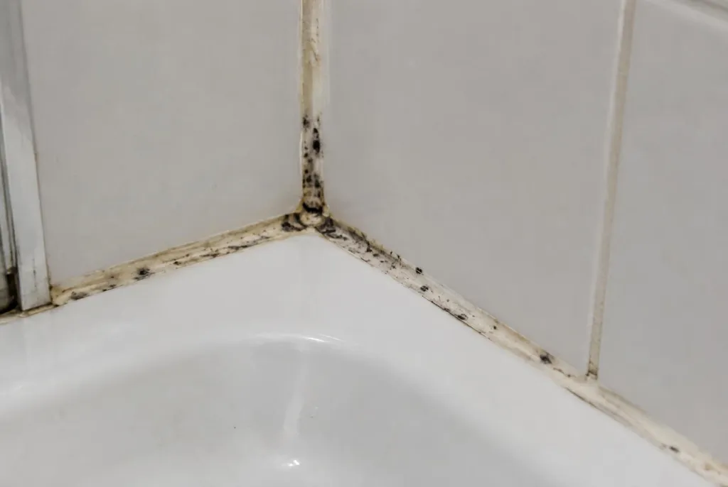 Kitbedrijf Leidsche Rijn – beschimmelde kitranden